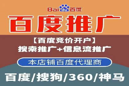 成功SEM竞价托管案例分析报告